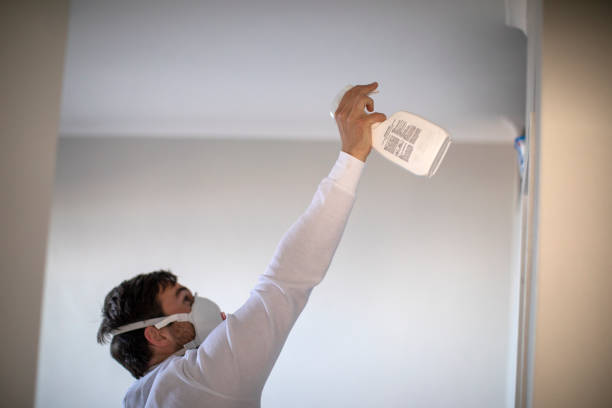 Best Crawl Space Mold Removal  in Bonneau Beach, SC