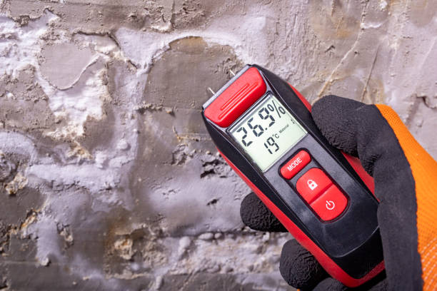 Best Mold Removal Process  in Bonneau Beach, SC