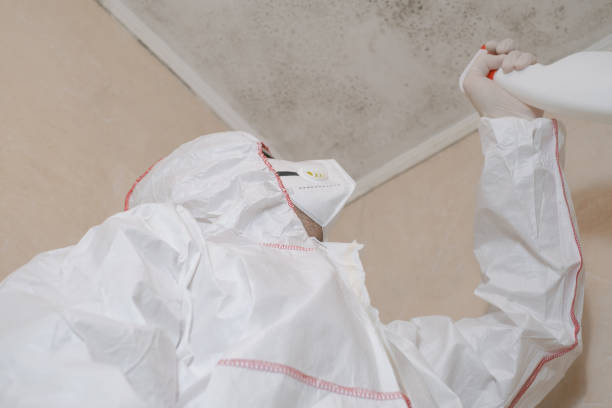 Best Residential Mold Removal  in Bonneau Beach, SC