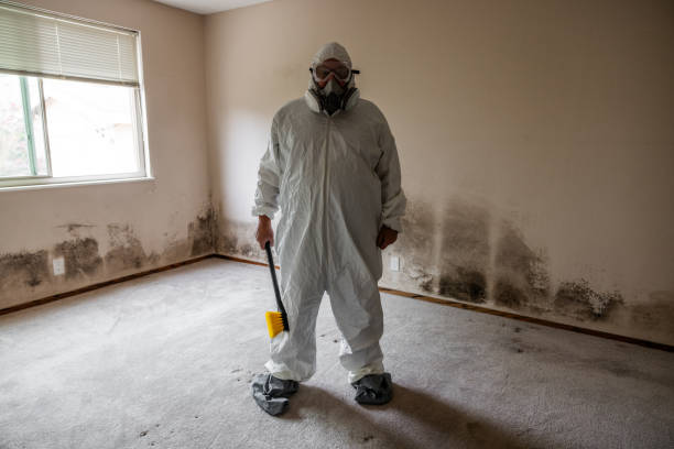 Best Professional Mold Removal  in Bonneau Beach, SC